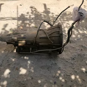 Karopga aftamat