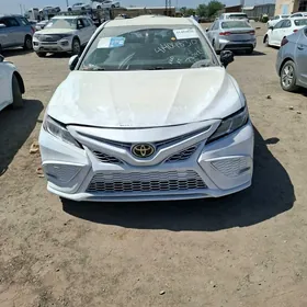 Toyota Camry 2020