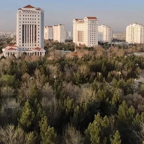 Nebitgaz Nebit-gaz