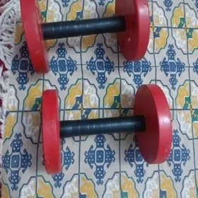 gantel