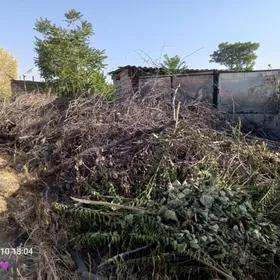 mugt odun