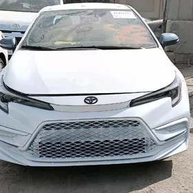 Toyota Corolla 2024