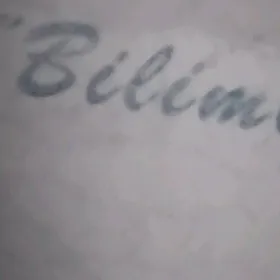 Bilimli kampyuter