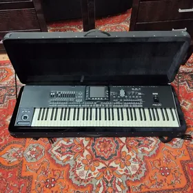 Korg Çehol PA3X 76
