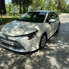 Toyota Corolla 2020