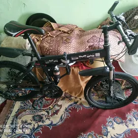tigir bmw