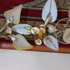 LYUSTRALAR