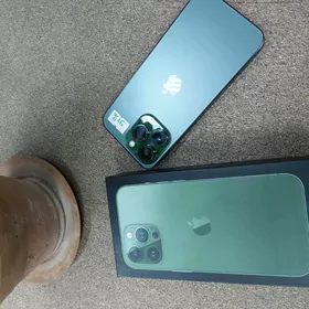 iphone 13pro