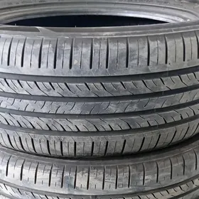 Weslake 215 55 17