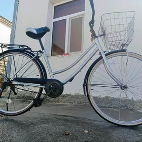 Tigir  yaponksy 26
