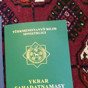 Ofisda is gerek Diplomym bar