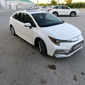 Toyota Corolla 2020