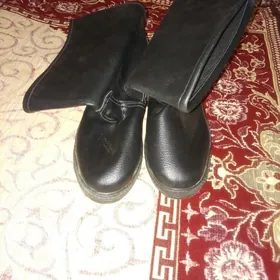 Sapok