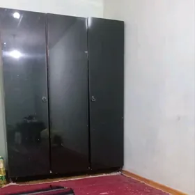 Gadymy şkaf