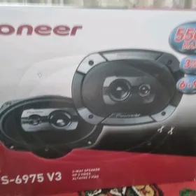 pioneer 550v nikil