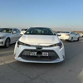 Toyota Corolla 2020