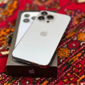 iPhone 13Pro