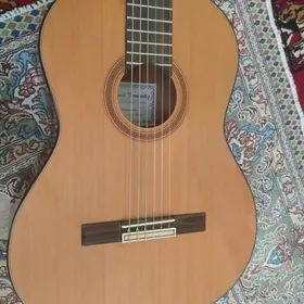 gitara Valencia