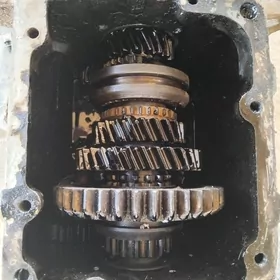 53 karopga