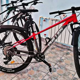Mauntin bikes