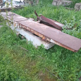 Agaç süýýän stanok (enjam)