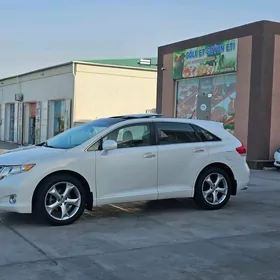 Toyota Venza 2010