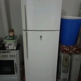 Sroçny satlyk Holodinik LG