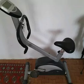 Sport tigir