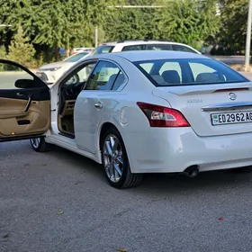 Nissan Maxima 2010