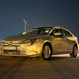 Toyota Corolla 2019