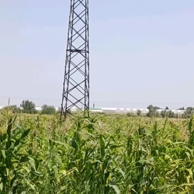 mekge silosluk