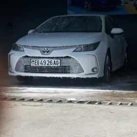 Toyota Corolla 2021