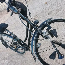 Velik 26