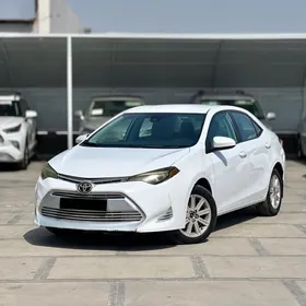 Toyota Corolla 2019