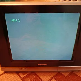Panasonic