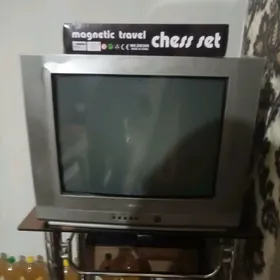 Telewizor