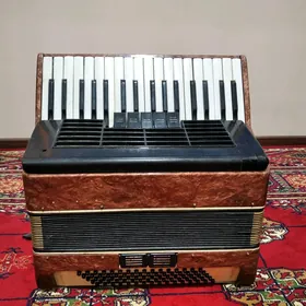 Akkardion