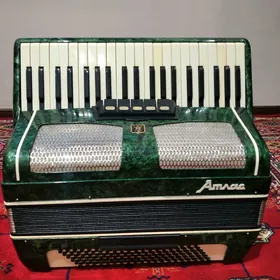 akkordion