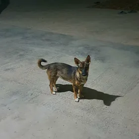 it