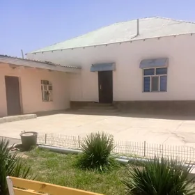 şatlyk jay şor garadamak