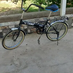 Kama tigir