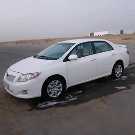 Toyota Corolla 2010