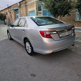 Toyota Camry 2013