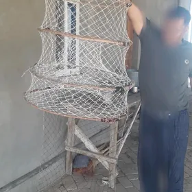 ventir tor