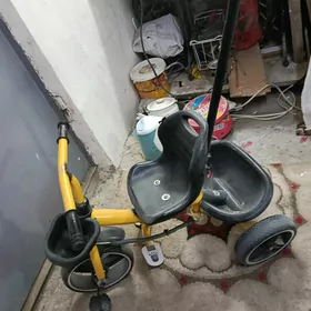 чага тигри