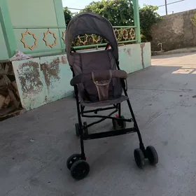 caga kalyaska