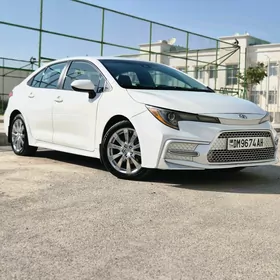 Toyota Corolla 2020