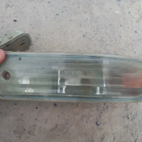 Carona pawarotnik