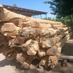 Agaç
