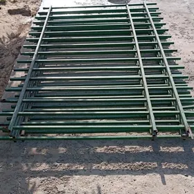 raşotga